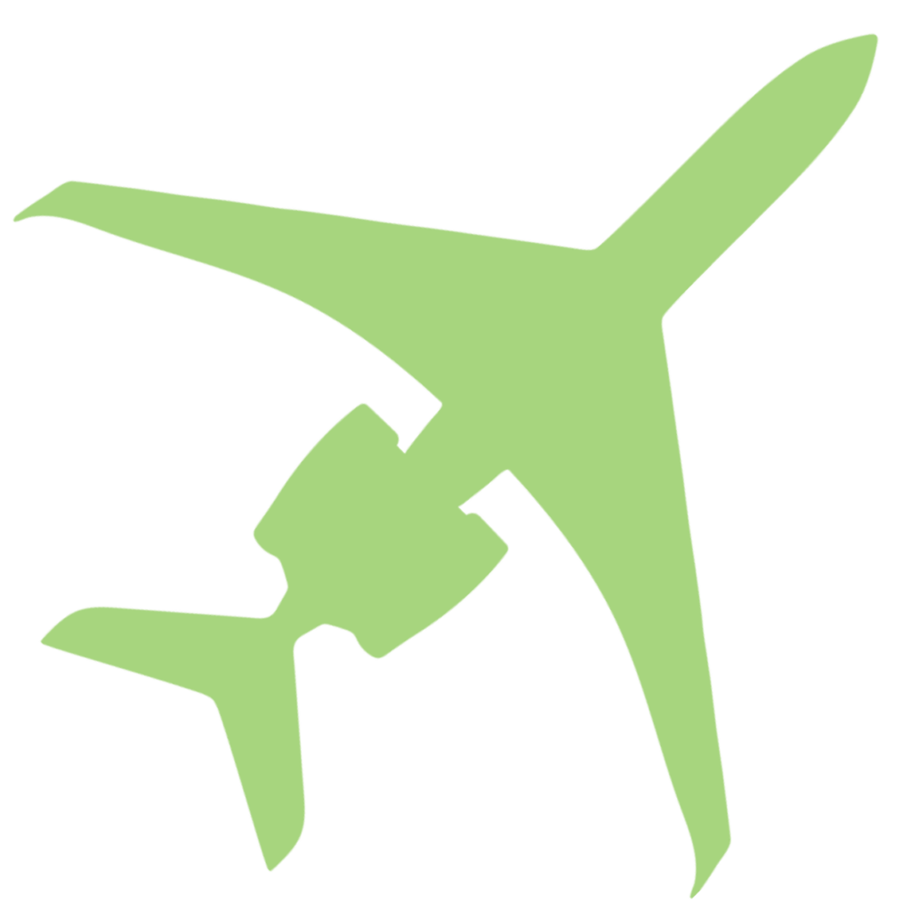 Green Flight Icon